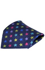 Posh & Dandy Multicoloured Stars on Navy Silk Pocket Square