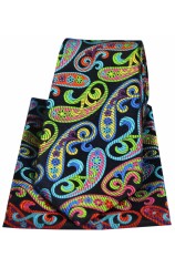 Posh & Dandy Multi Coloured Paisley Luxury Silk Tie And Hanky Set