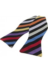 Soprano Multicoloured Rainbow Striped Silk Self Tied Bow